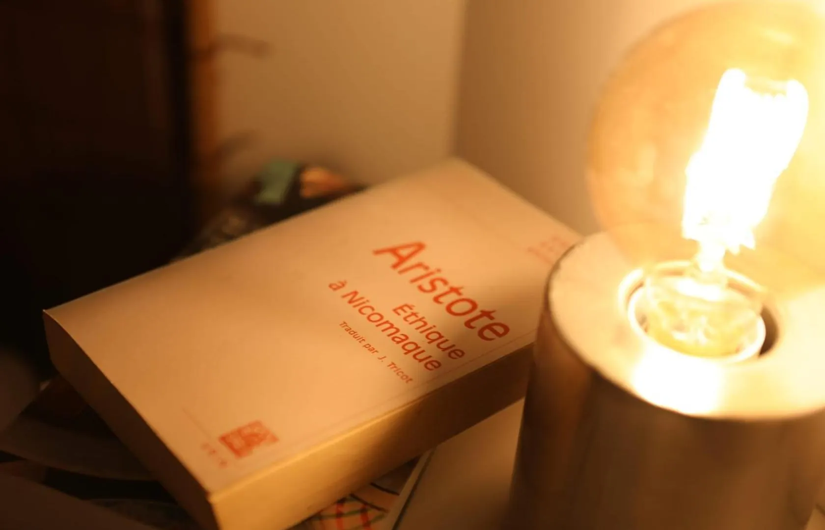 דירה וילפראנש-דה-רוארג Le Nid 3 Etoiles Wifi, Netflix, Disney, Coeur De Bastide